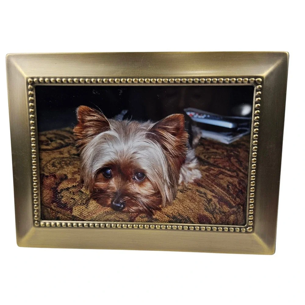 Bronze Beaded Picture Frame Display Yorkie Photo Art Decor MSE Tabletop